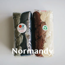 Load image into Gallery viewer, Chunky Yarn Bundle - Super Chunky Merino