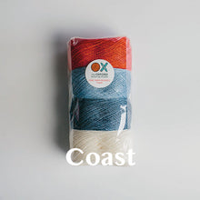 Load image into Gallery viewer, Fine Yarn Bundle - 2/16s Cotton