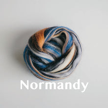 Load image into Gallery viewer, Wool Roving: Specialty Blends