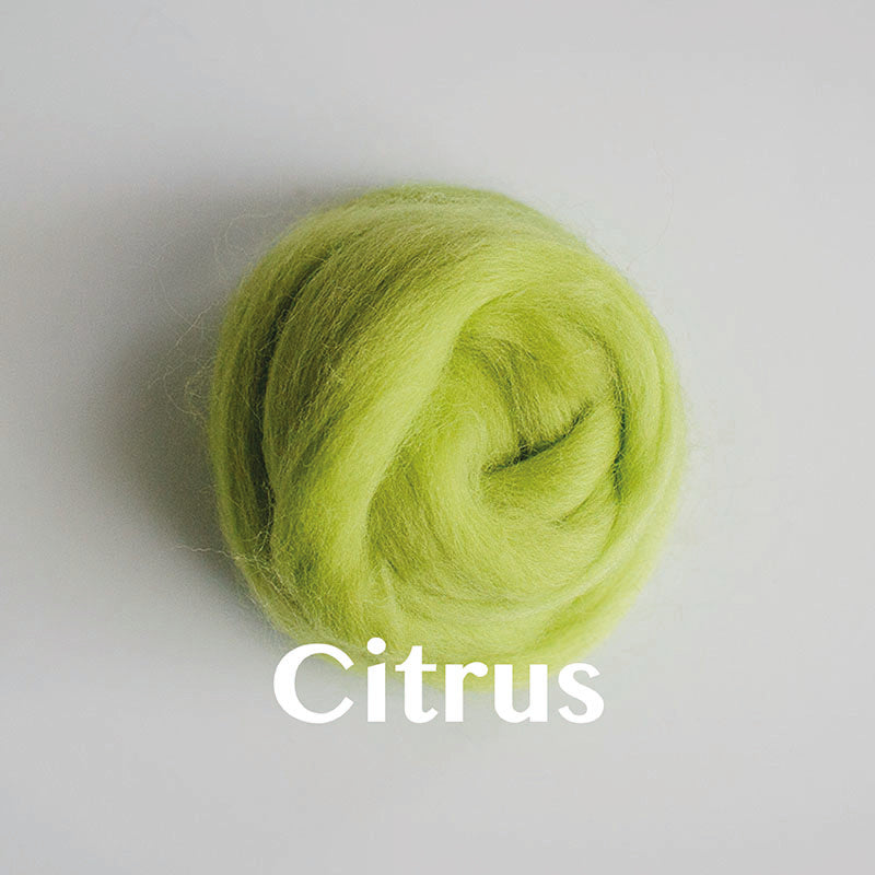 Wool Roving: Dyed Merino (PART 1)