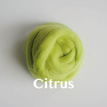 Wool Roving: Dyed Merino (PART 1)