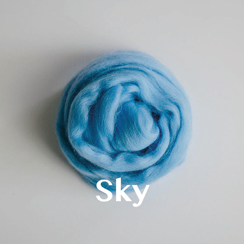 Wool Roving: Dyed Merino (PART 1)