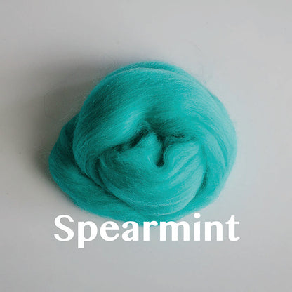 Wool Roving: Dyed Merino (PART 1)