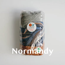 Load image into Gallery viewer, Chunky Yarn Bundle - Wool Roving